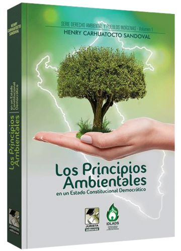 LOS PRINCIPIOS AMBIENTALES ..