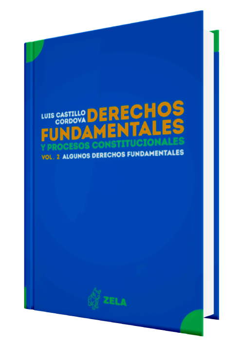 DERECHOS FUNDAMENTALES Y PROCESOS CONSTI..