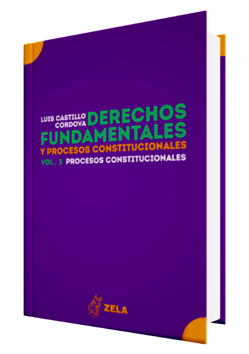 DERECHOS FUNDAMENTALES Y PROCESOS CONSTI..