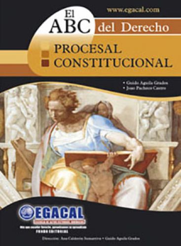 ABC DEL DERECHO - PROCESAL CONSTITUCIONA..