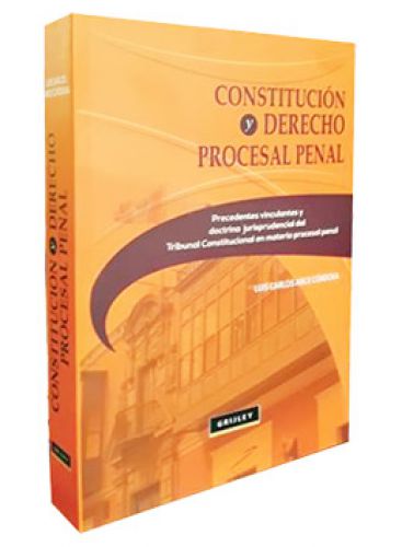 CONSTITUCIÓN Y DERECHO PROCESAL PENAL P..