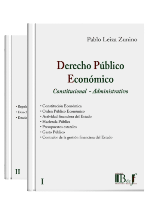 DERECHO PÚBLICO ECONÓMICO - Constituci..