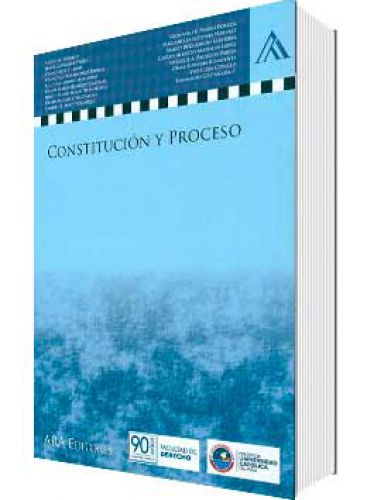 CONSTITUCIÓN Y PROCESO..