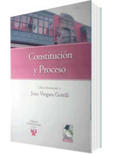 CONSTITUCIÓN Y PROCESO..