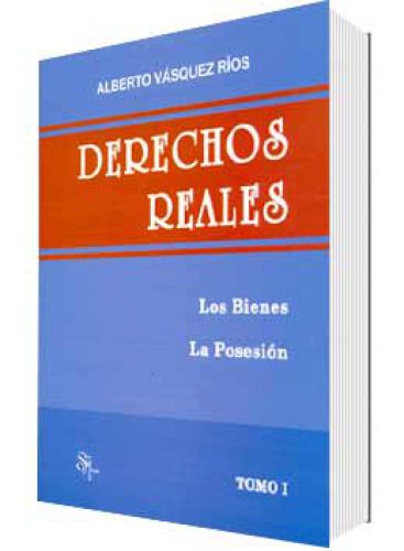 DERECHOS REALES TOMO I LOS BIENES, POSESIÓN