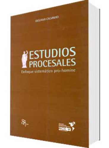 ESTUDIOS PROCESALES ENFOQUE SISTEMÁTICO