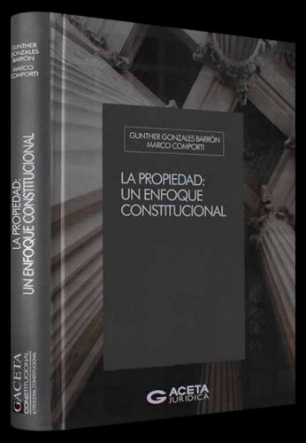 La Propiedad un Enfoque Constitucional