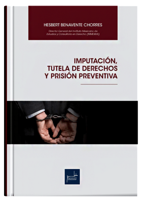 IMPUTACIÓN, TUTELA DE DERECHOS Y PRISIÓN PREVENTIVA