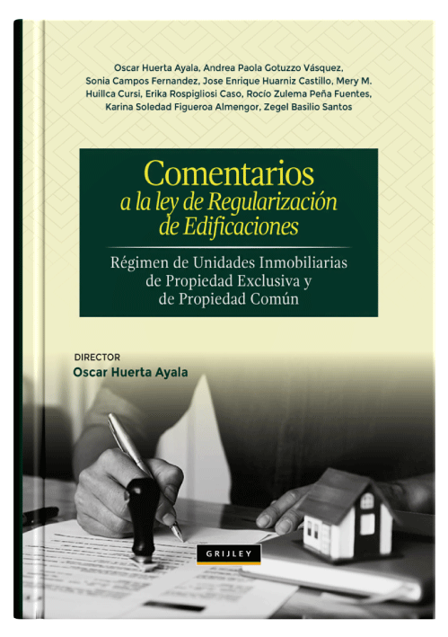 COMENTARIOS A LA LEY DE REGULARIZACIÓN ..