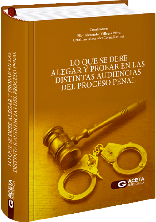 LO QUE SE DEBE ALEGAR Y PROBAR EN LAS DI..