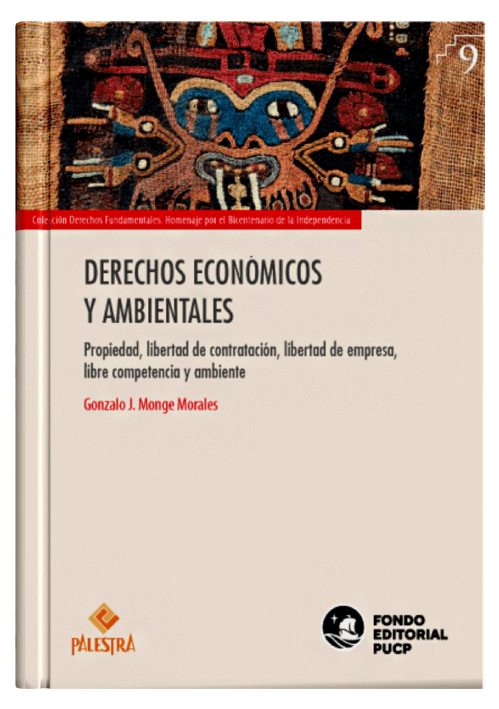 DERECHOS ECONÓMICOS Y AMBIENTALES