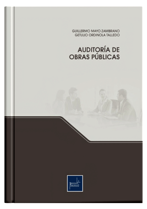 AUDITORIA DE OBRAS PÚBLICAS