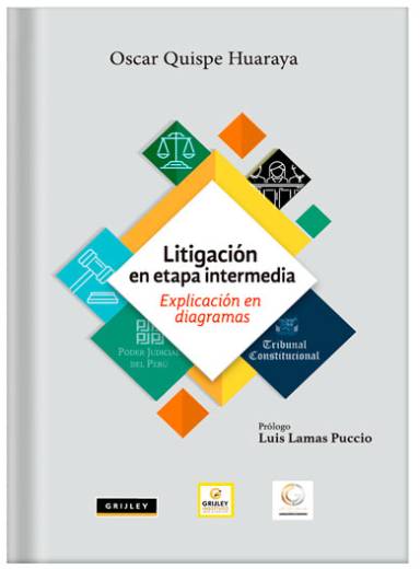 LITIGACIÓN EN TAPA INTERMEDIA EXPLICACI..