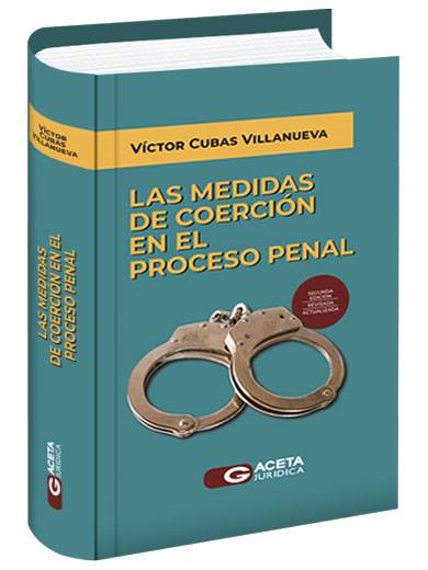 LAS MEDIDAS DE COERCIÓN EN EL PROCESO P..