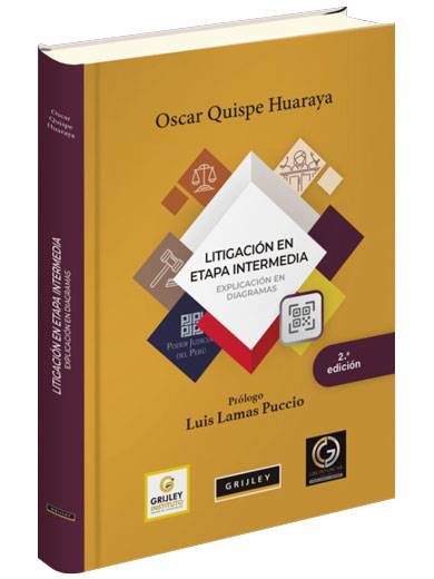 LITIGACIÓN EN ETAPA INTERMEDIA. Explica..