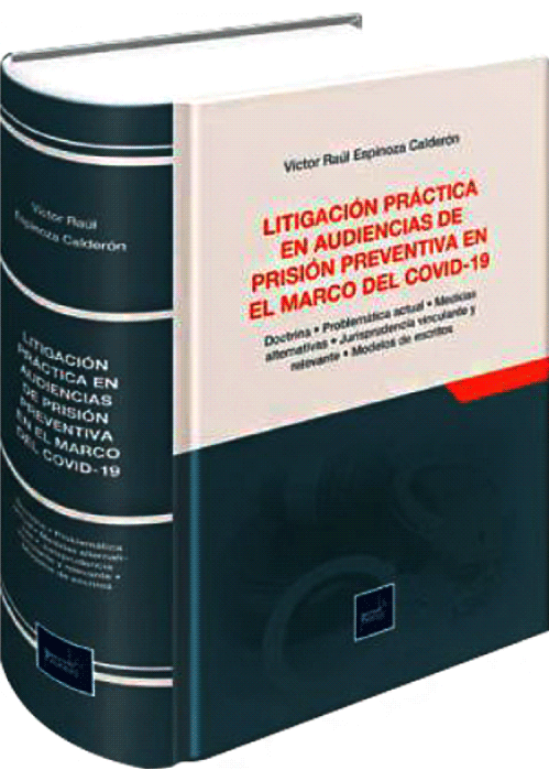 LITIGACIÓN PRÁCTICA EN AUDIENCIAS DE P..
