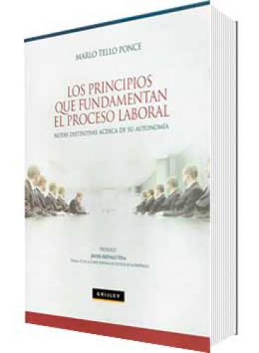 LOS PRINCIPIOS QUE FUNDAMENTAN EL PROCES..