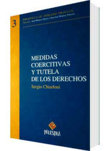 MEDIDAS COERCITIVAS Y TUTELA DE LOS DERECHOS