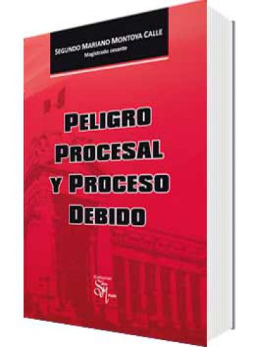 PELIGRO PROCESAL Y PROCESO DEBIDO