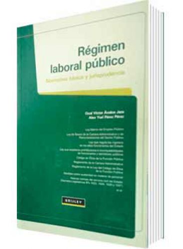 RÉGIMEN LABORAL PÚBLICO..